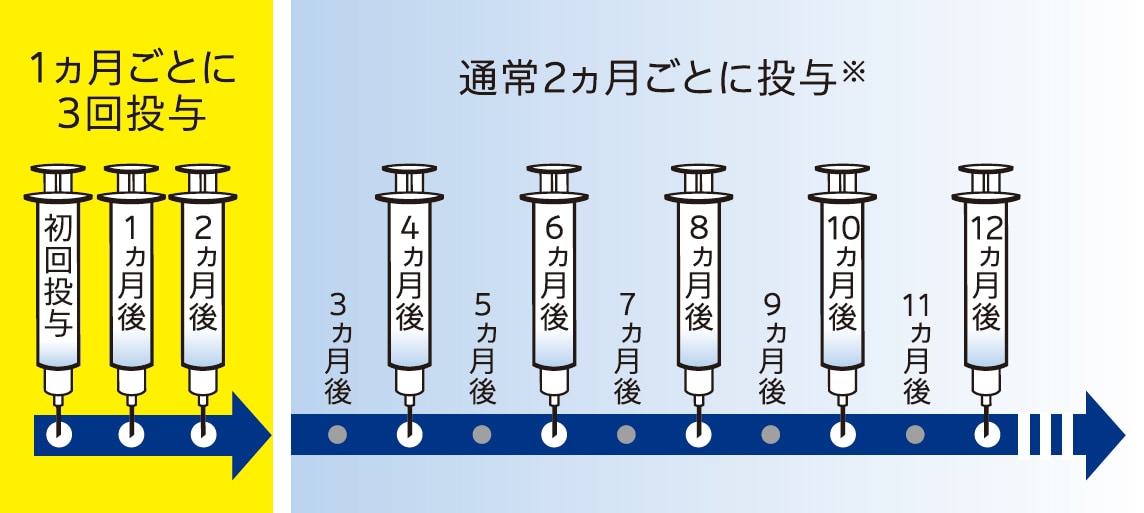 治療のスケジュール